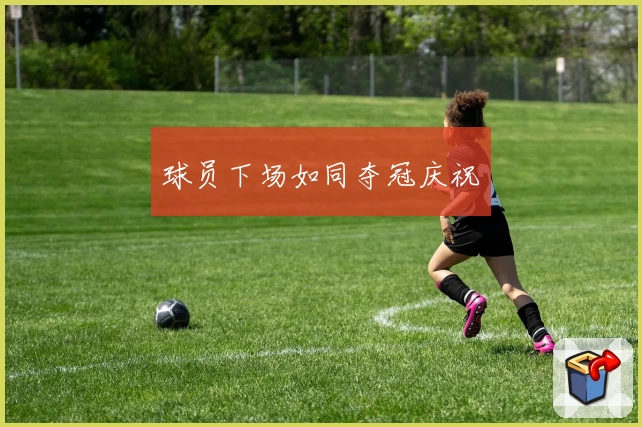 球员下场如同夺冠庆祝