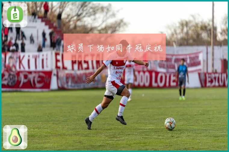 球员下场如同夺冠庆祝